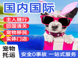 乌兰察布航空空运国际宠物托运 【国